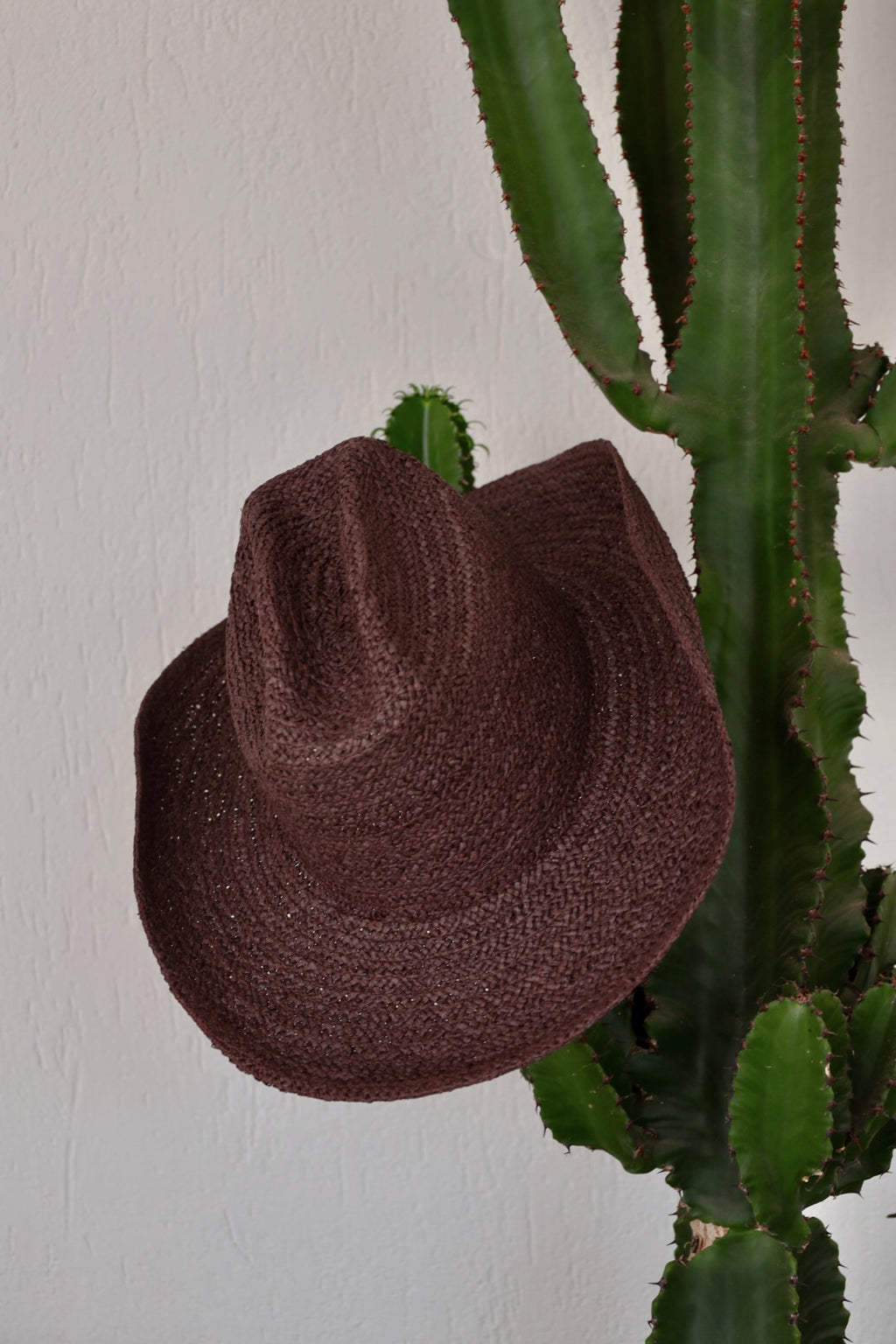 Roccia marron